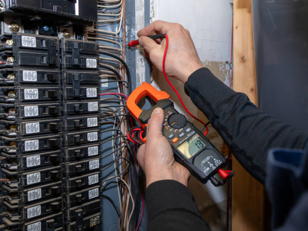 Best Electric Panel Repair  in Vernon, WI